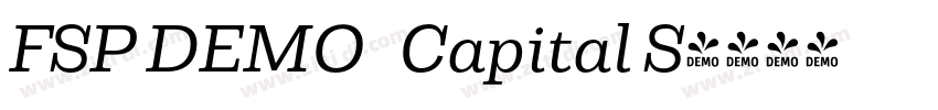 FSP DEMO   Capital S字体转换